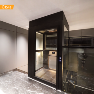 KĐT Louis City Hoàng Mai, Hà Nội - Thang máy Cibes Air lắp đặt giữa thang bộ